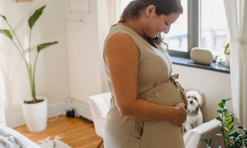 宫爆鸡丁是什么味形-【宫爆鸡丁是什么味形】宫爆鸡丁属于什么菜系的菜 - 宫爆鸡丁的营养成分网